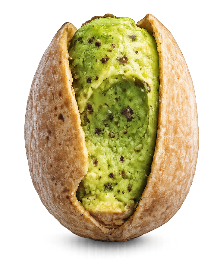 Pista